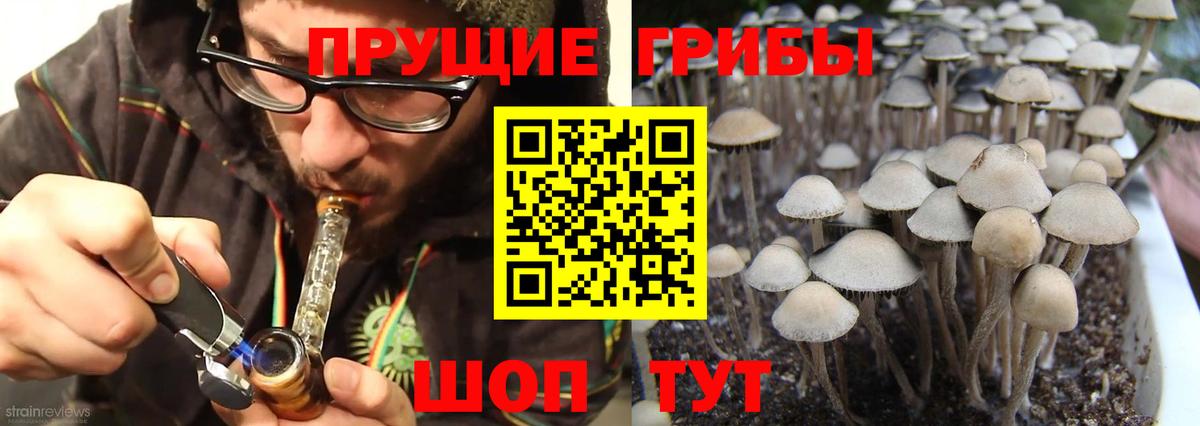 Галлюциногенные грибы мицелий  Галлюциногенные грибы Cubensis  Вход с VPN  цены   Каменск-Уральский 